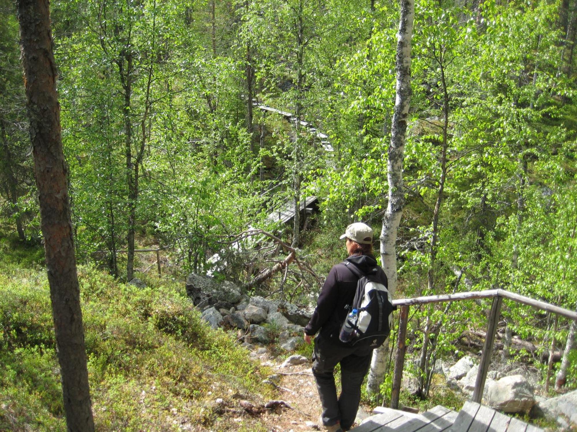 Saija Lodge Jokijärvi المظهر الخارجي الصورة