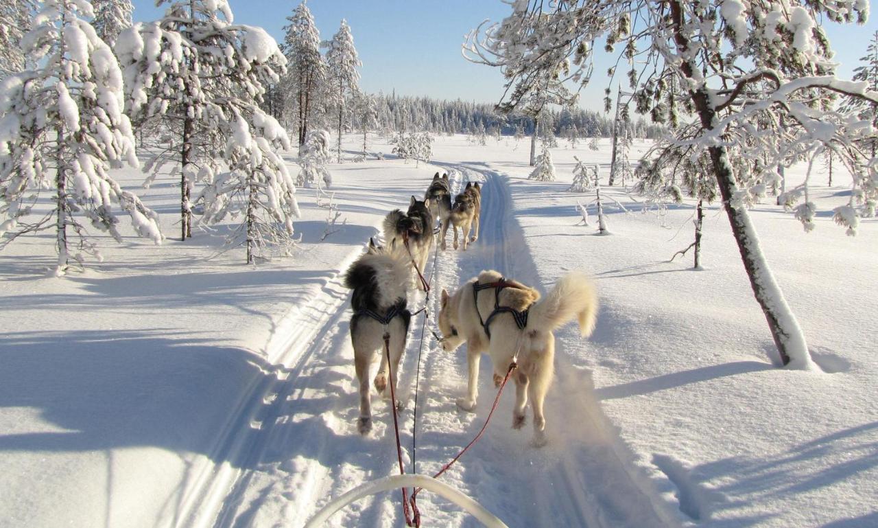 Saija Lodge Jokijärvi المظهر الخارجي الصورة